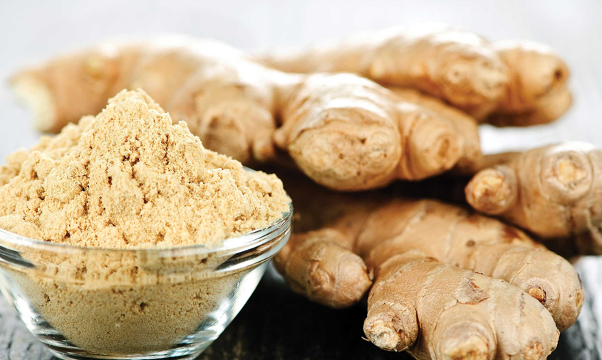 Koyuncu Baharat Resim Görselleri